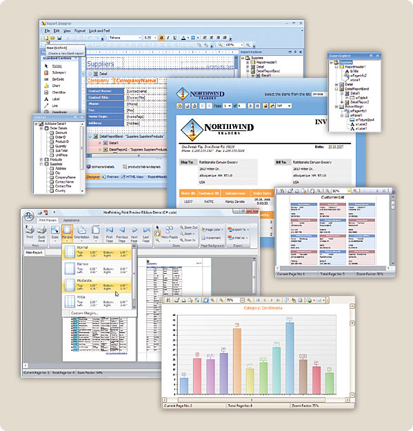 Developer Express XtraReports™ Suite for .NET Windows® Forms and ASP.NET